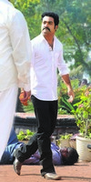 NTR Photos in Dammu